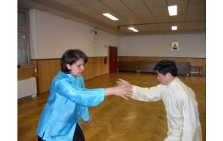 STAGE AVEC MAÎTRE JIAN LIUJUN ET SALIHA LINDER